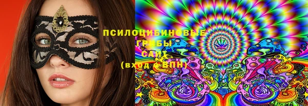 прущая мука Корсаков