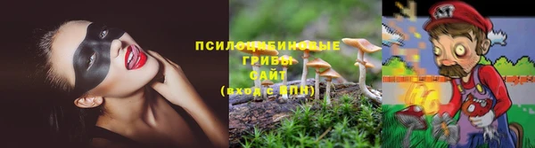 трава Костерёво