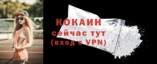 прущая мука Корсаков