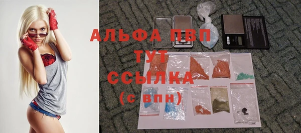 трава Костерёво