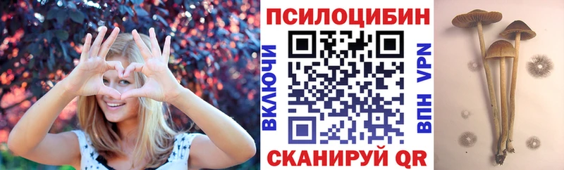 Псилоцибиновые грибы прущие грибы  kraken ONION  Хасавюрт 